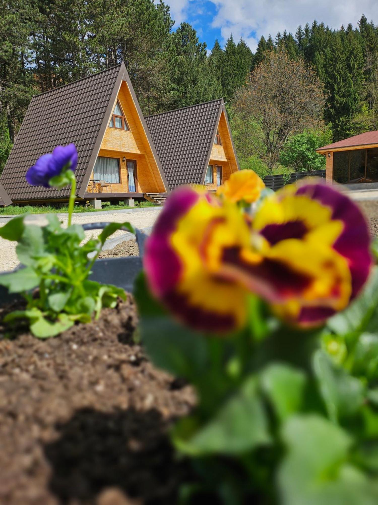 Catunul Din Podei A-Frame Dragoslavele Bagian luar foto